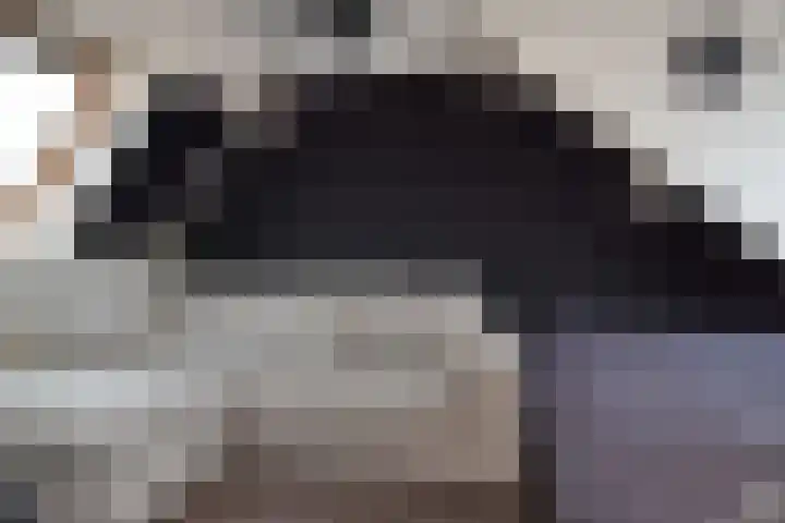 De Backerstraat 15 Poeldijk thumbnail 32
