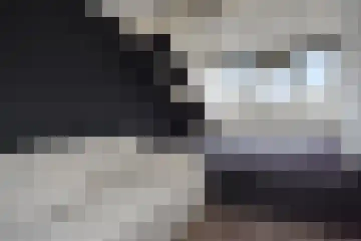 De Backerstraat 15 Poeldijk thumbnail 33