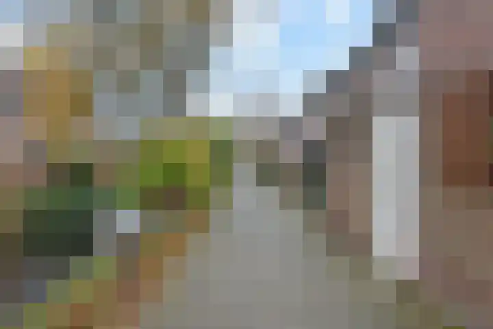 De Backerstraat 15 Poeldijk thumbnail 35