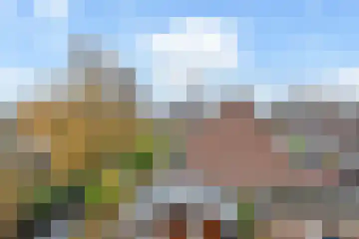 De Backerstraat 15 Poeldijk thumbnail 37