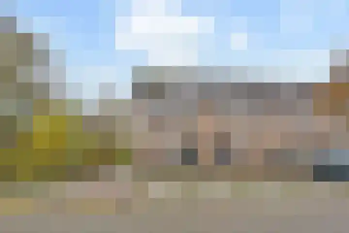 De Backerstraat 15 Poeldijk thumbnail 38