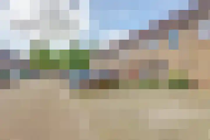 De Backerstraat 5 Poeldijk thumbnail 27