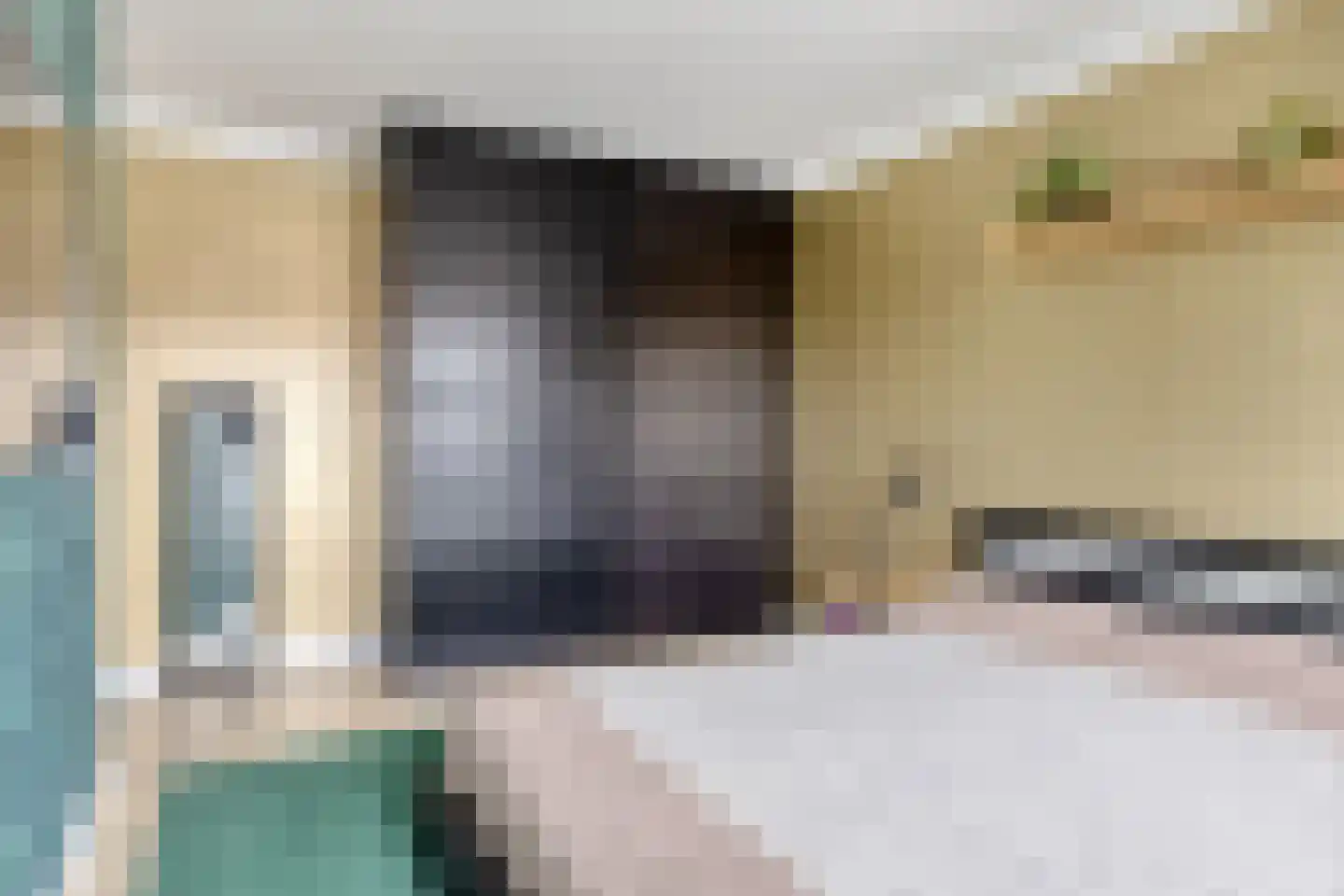 De Backerstraat 54 Poeldijk thumbnail 25