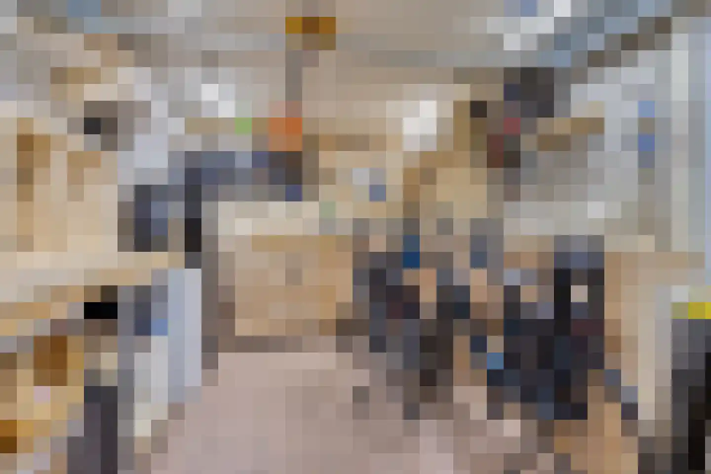 De Backerstraat 54 Poeldijk thumbnail 35