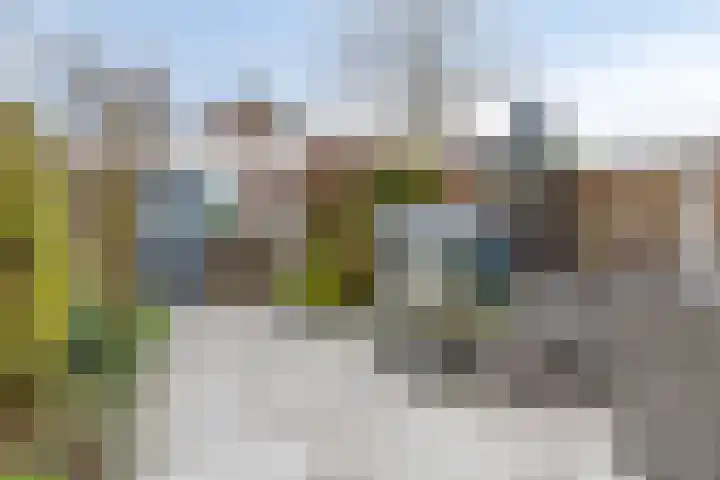 De Backerstraat 54 Poeldijk thumbnail 39