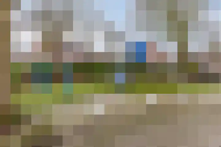 De Backerstraat 54 Poeldijk thumbnail 40