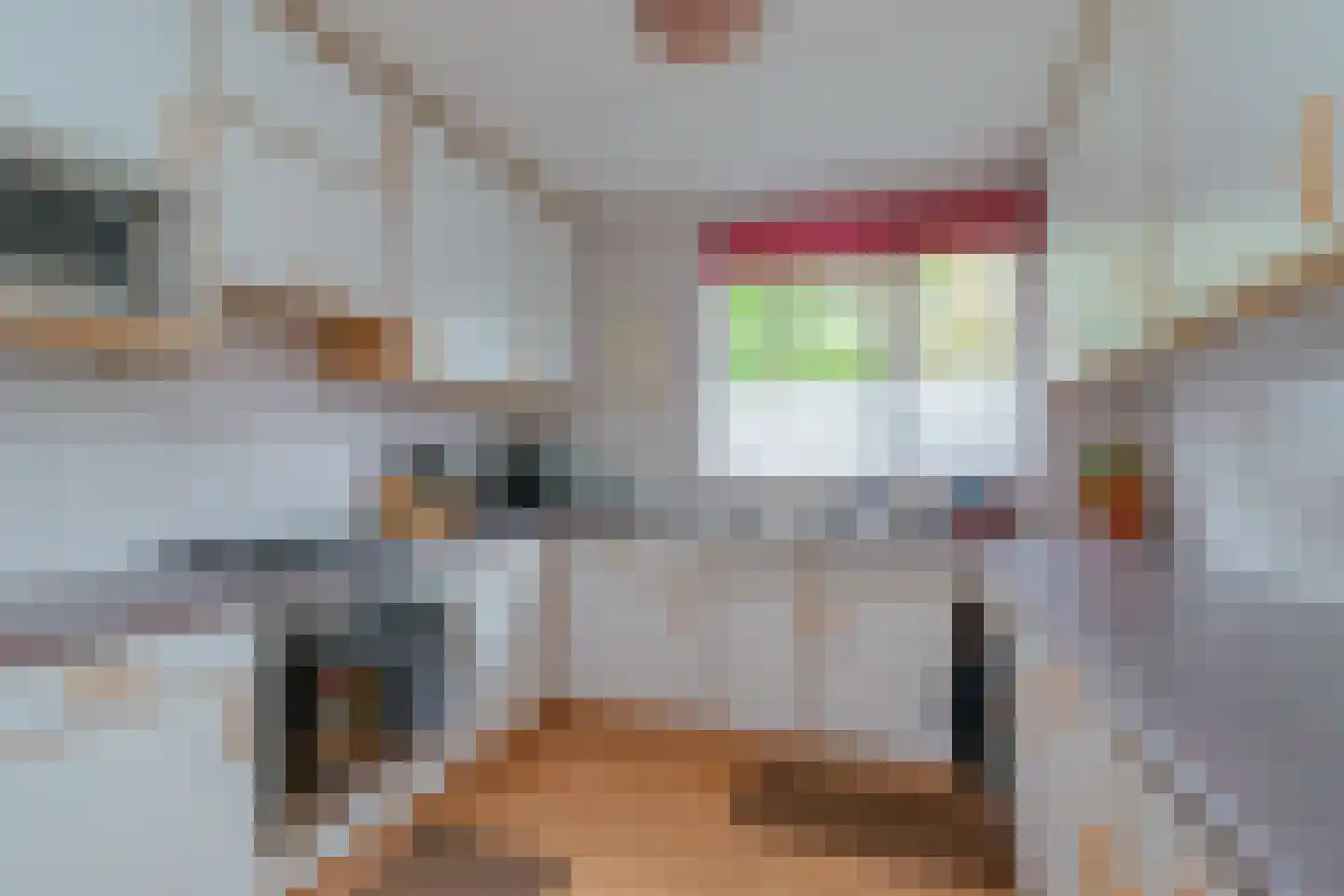 De Backerstraat 58 Poeldijk thumbnail 10