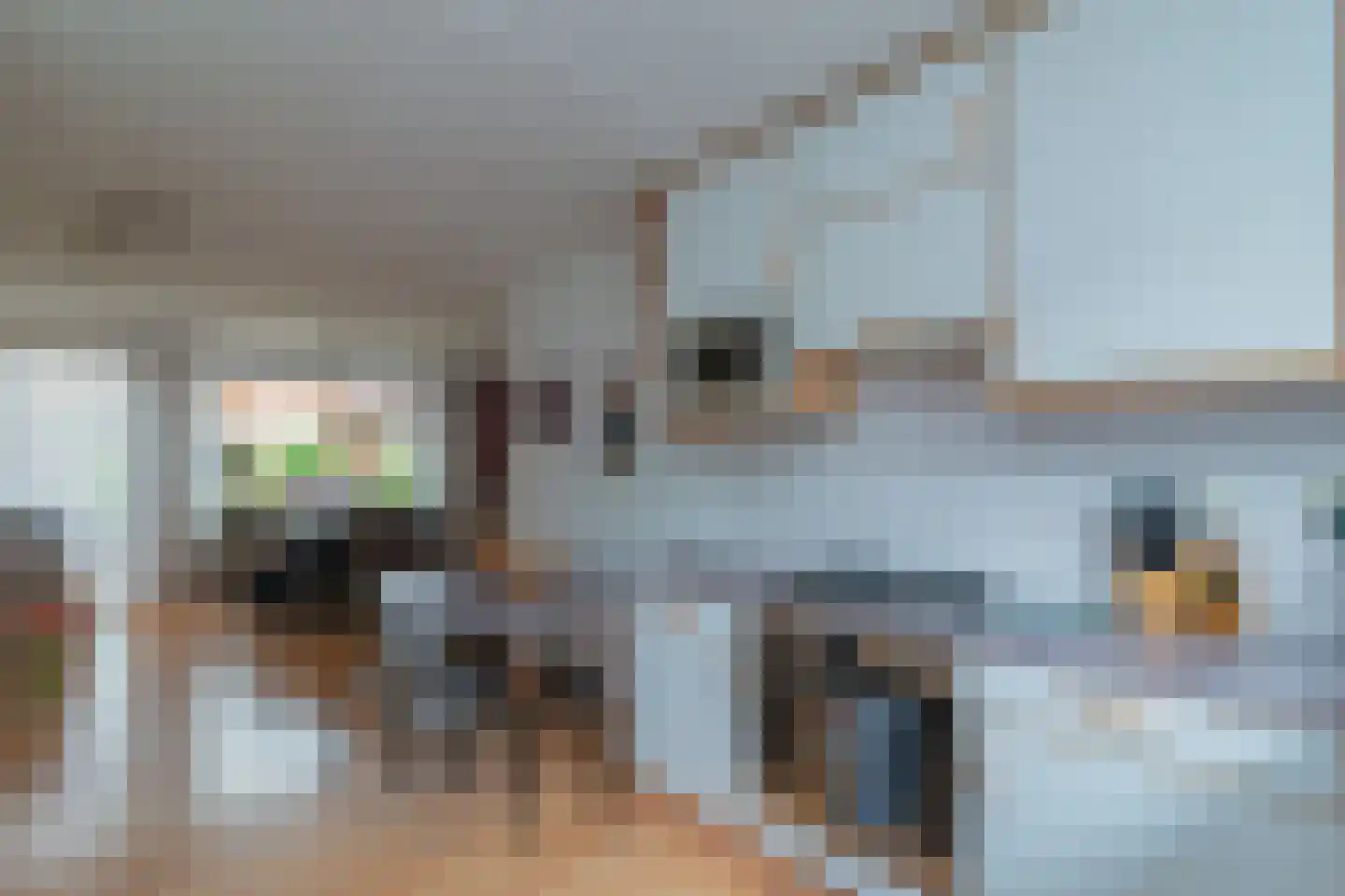 De Backerstraat 58 Poeldijk thumbnail 11