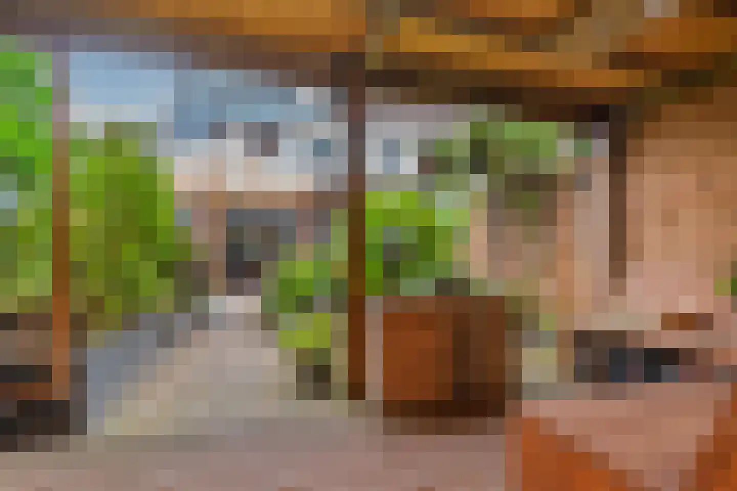 De Backerstraat 58 Poeldijk thumbnail 13