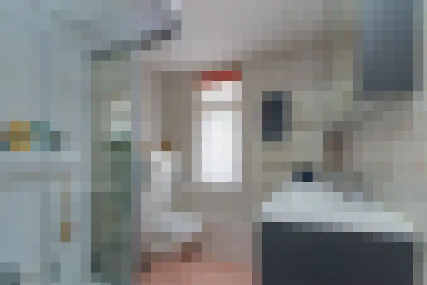 De Backerstraat 58 Poeldijk thumbnail 22