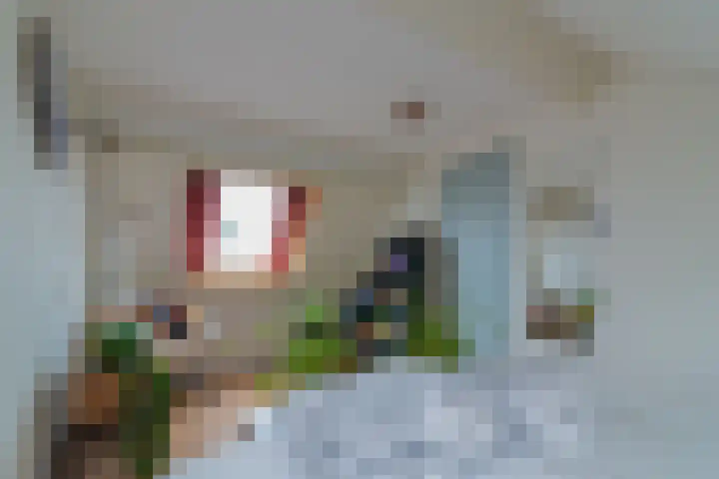De Backerstraat 58 Poeldijk thumbnail 28