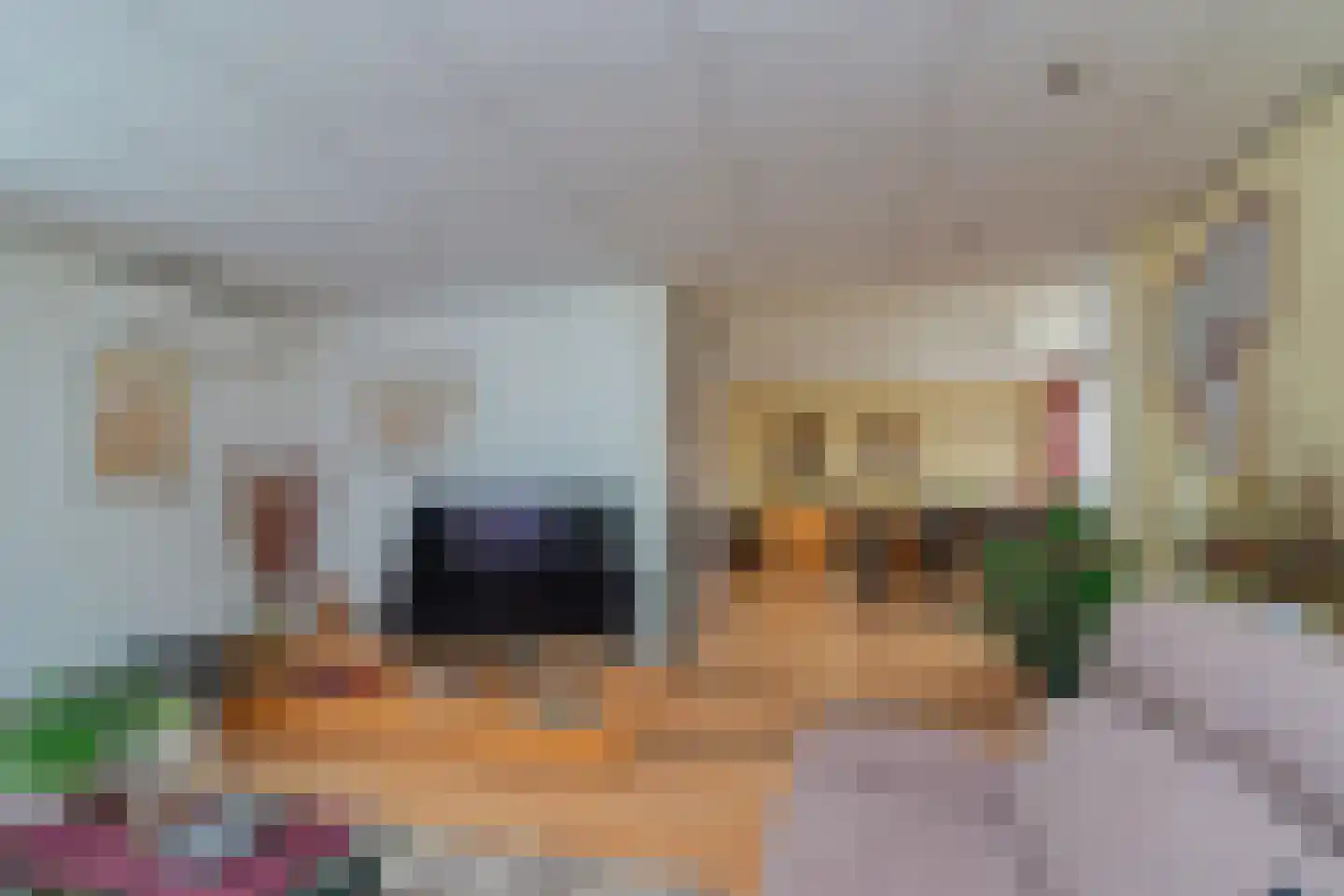 De Backerstraat 58 Poeldijk thumbnail 6