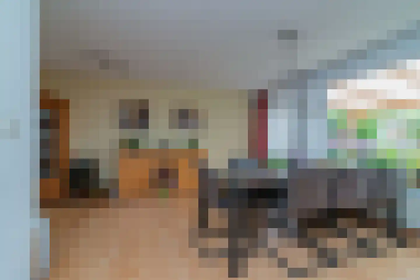 De Backerstraat 58 Poeldijk thumbnail 9