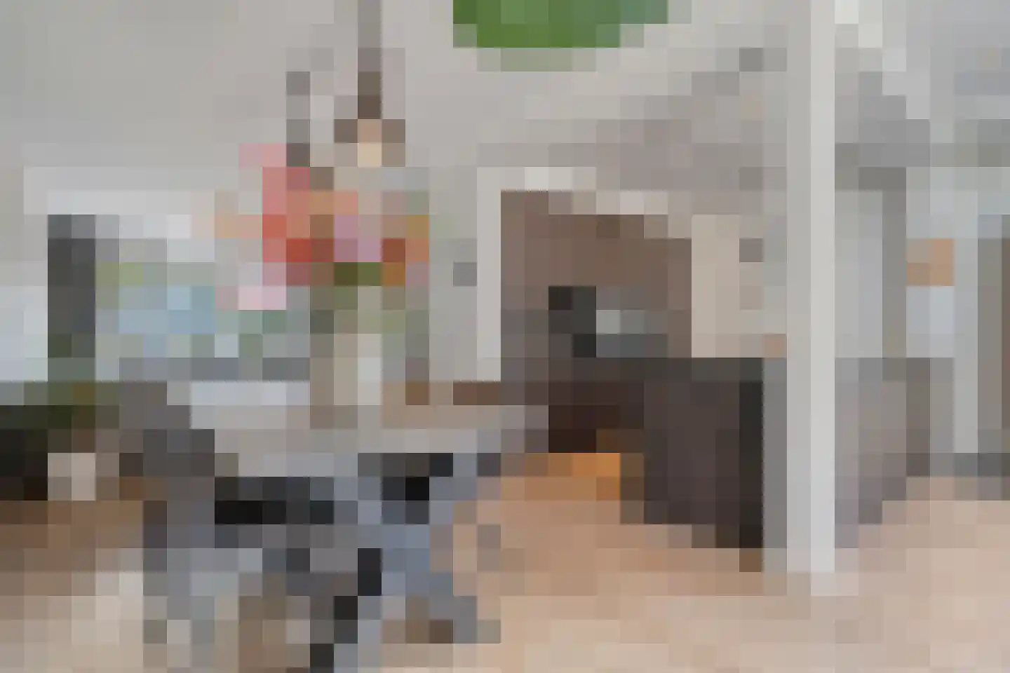De Bagijnenkamp 13 Hasselt thumbnail 23