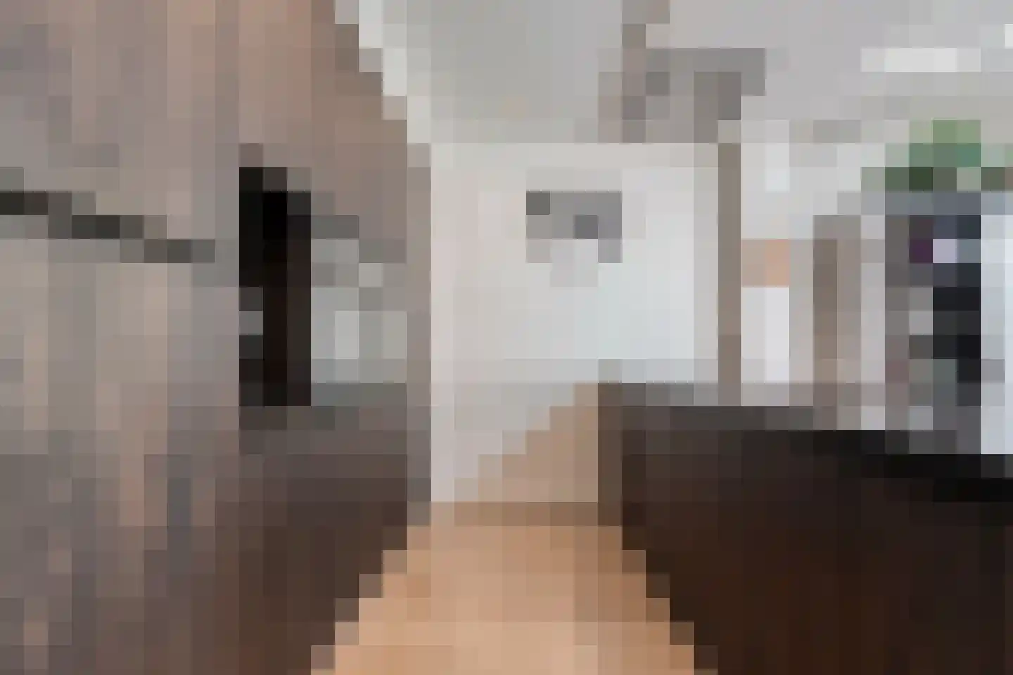 De Bagijnenkamp 13 Hasselt thumbnail 26
