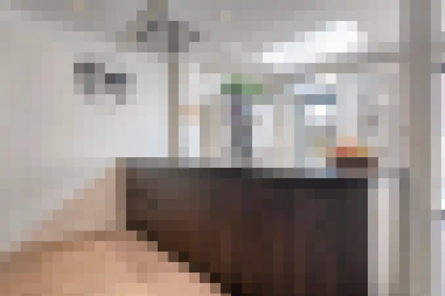 De Bagijnenkamp 13 Hasselt thumbnail 27