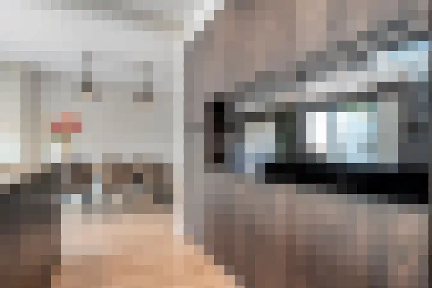 De Bagijnenkamp 13 Hasselt thumbnail 29