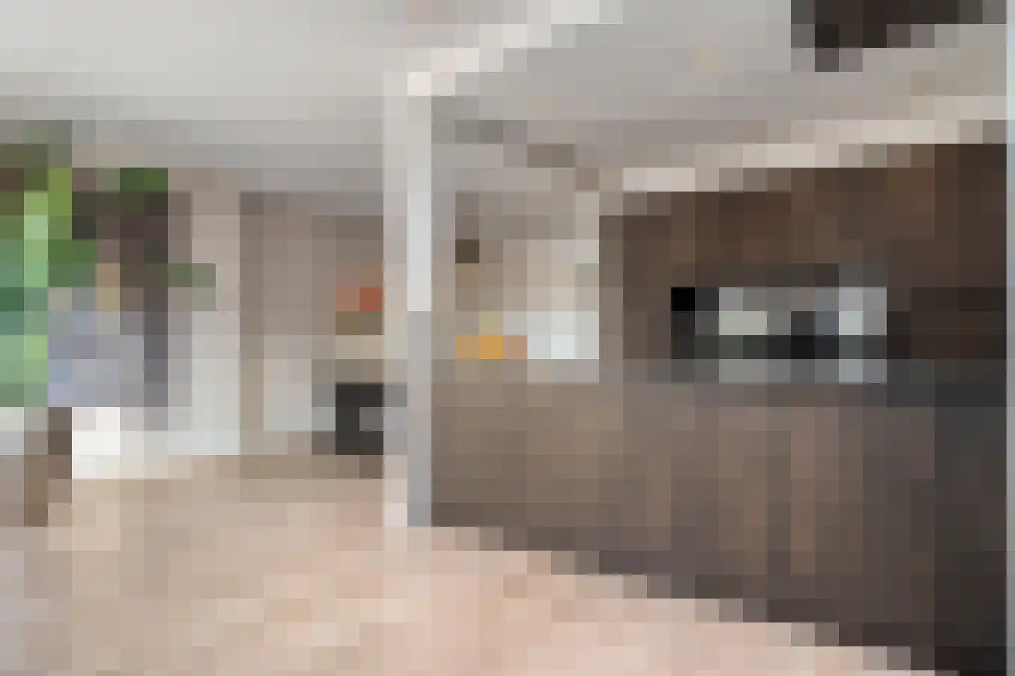 De Bagijnenkamp 13 Hasselt thumbnail 30