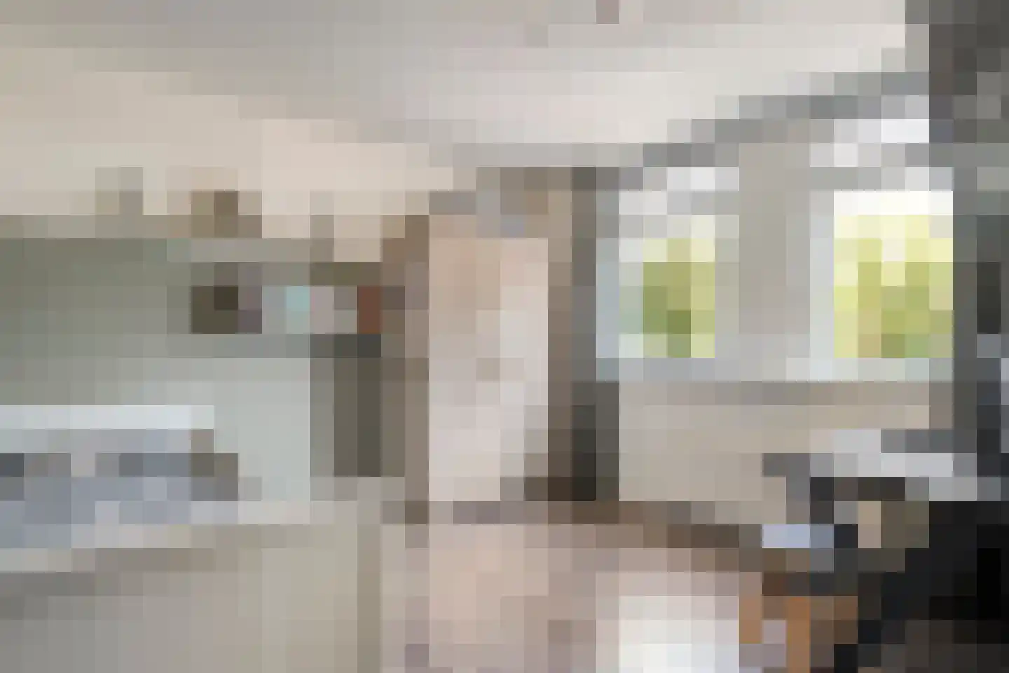 De Bagijnenkamp 13 Hasselt thumbnail 35
