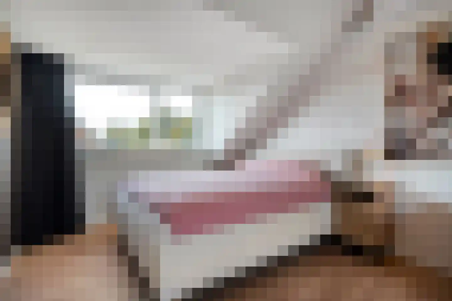 De Bagijnenkamp 13 Hasselt thumbnail 49