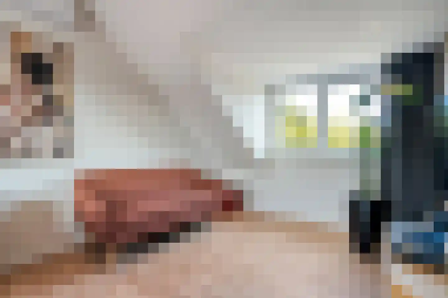 De Bagijnenkamp 13 Hasselt thumbnail 51
