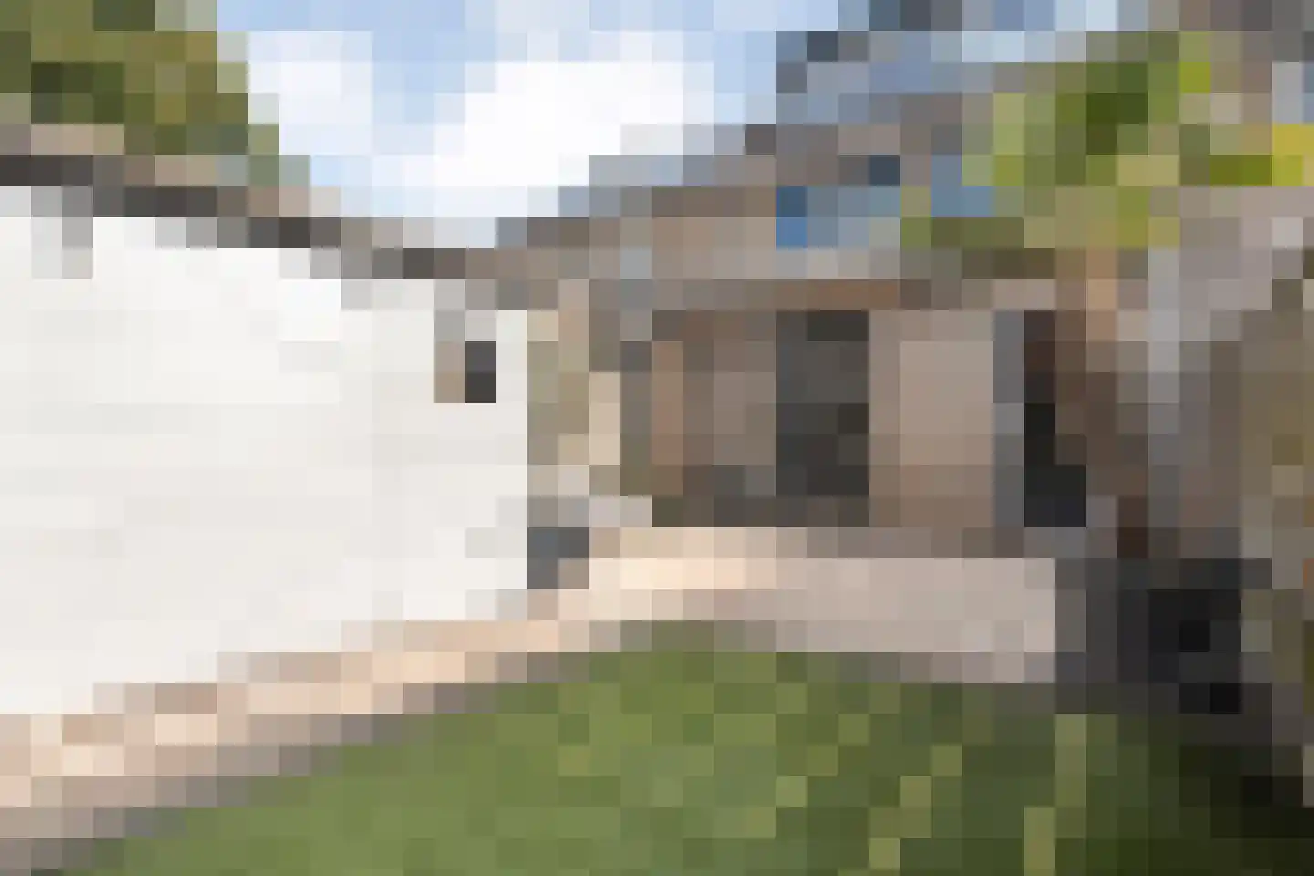 De Bagijnenkamp 13 Hasselt thumbnail 52