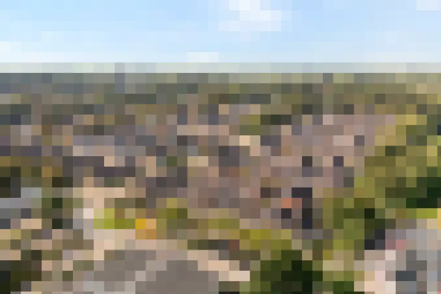 De Bagijnenkamp 13 Hasselt thumbnail 7