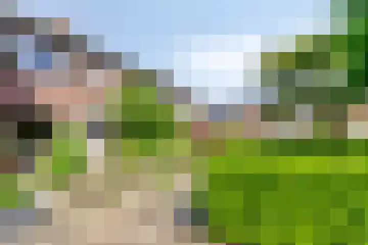 De Bak 12 Eijsden foto 3