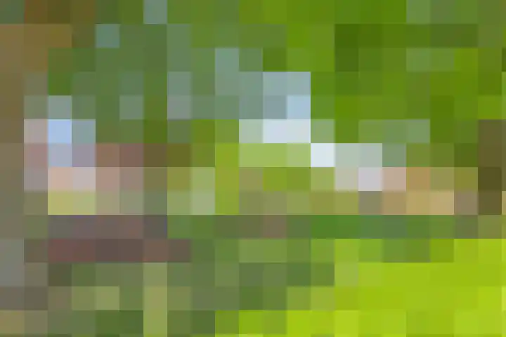 De Bak 12 Eijsden thumbnail 32