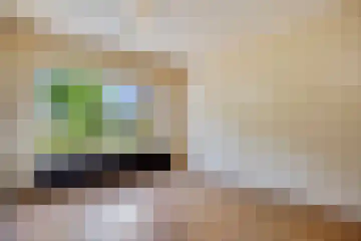 De Bak 12 Eijsden thumbnail 6