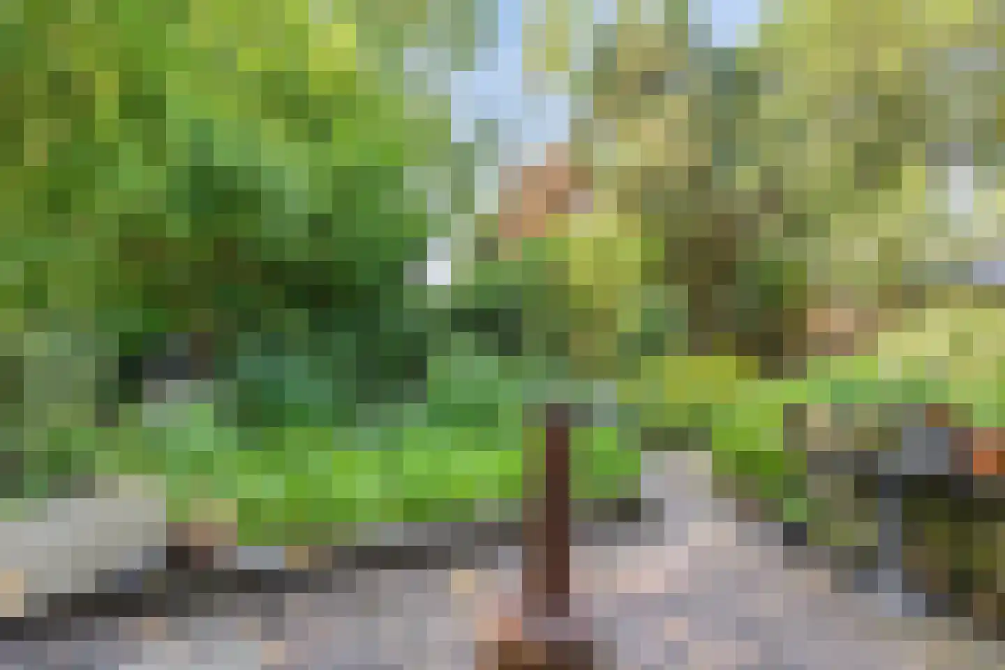 De Baken 4 's-Hertogenbosch thumbnail 27