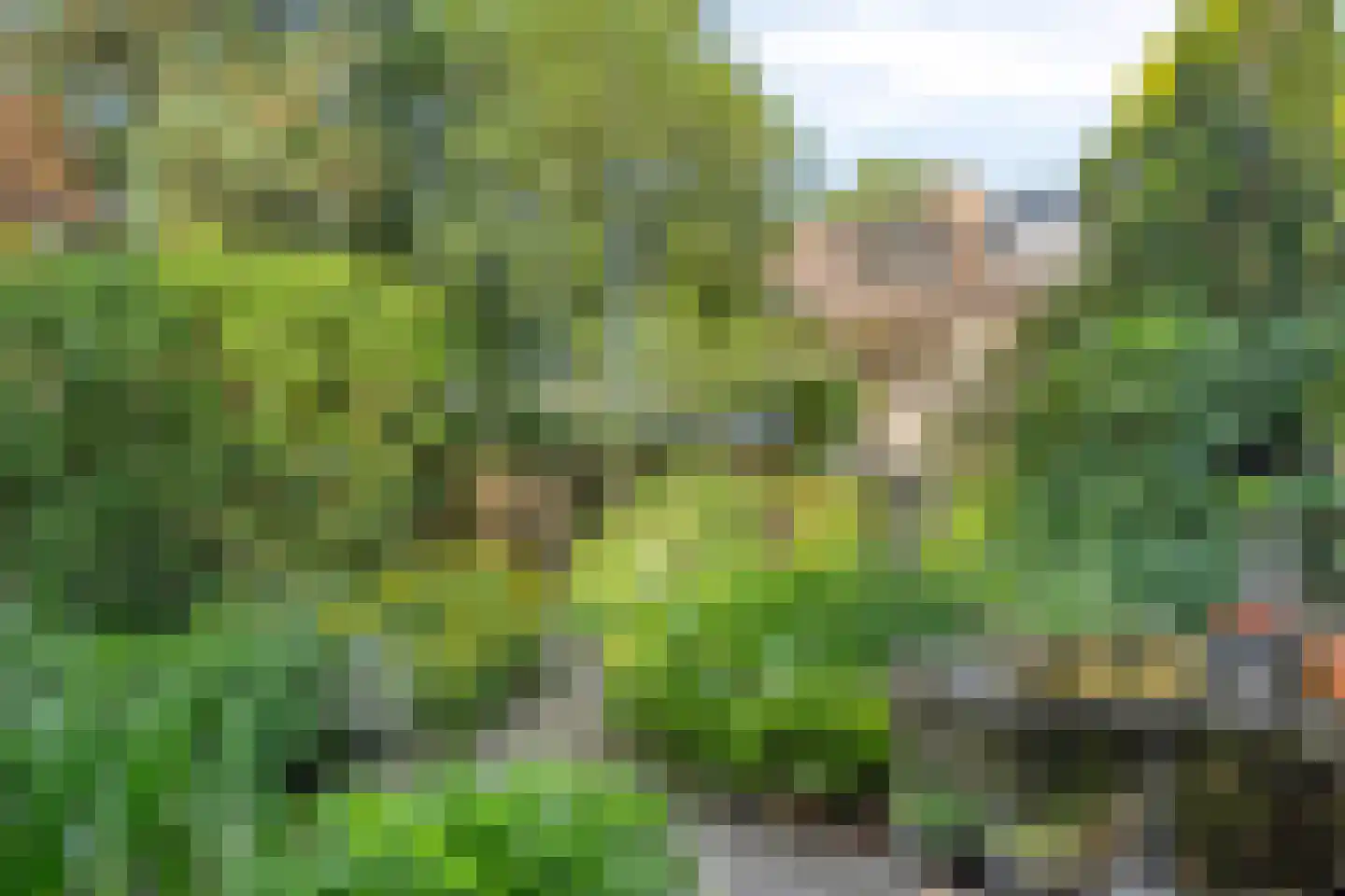 De Baken 4 's-Hertogenbosch thumbnail 28
