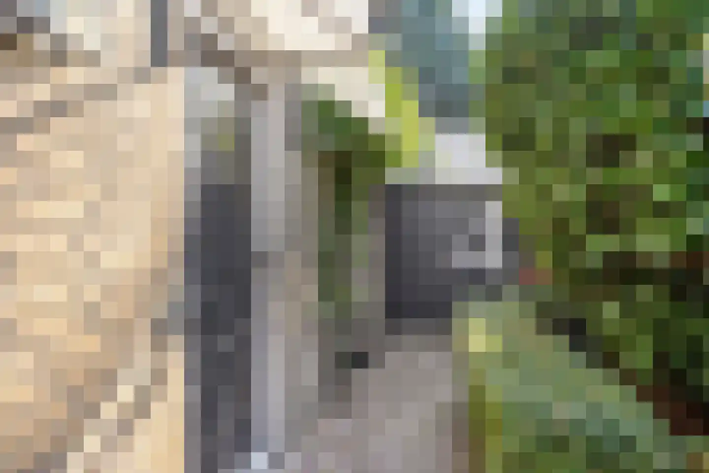 De Baken 4 's-Hertogenbosch thumbnail 6