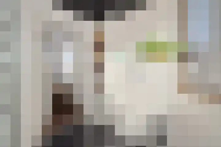 De Baken 58 's-Hertogenbosch thumbnail 24