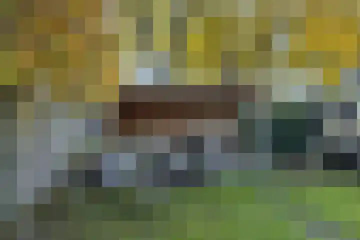 De Baken 58 's-Hertogenbosch thumbnail 31