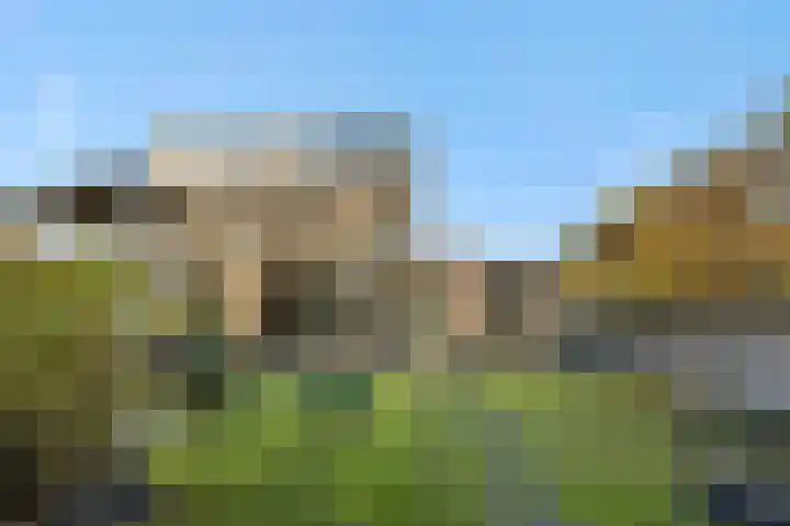 De Baken 58 's-Hertogenbosch thumbnail 33