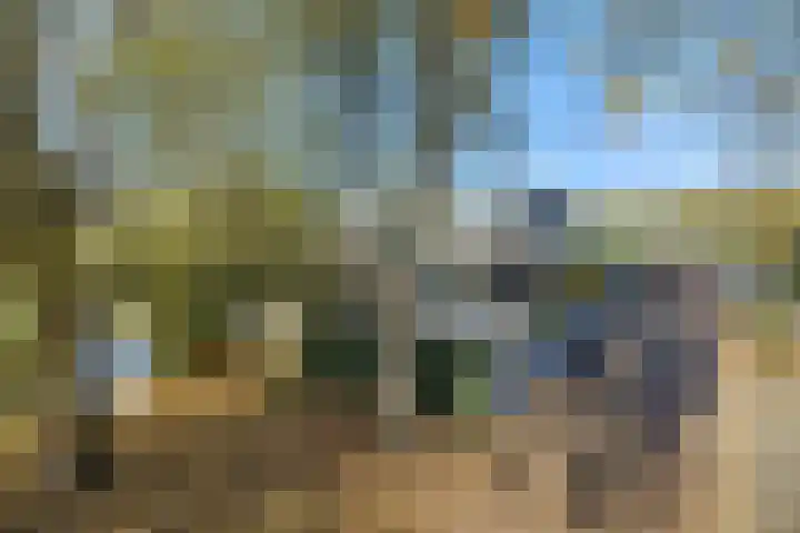 De Baken 58 's-Hertogenbosch thumbnail 34