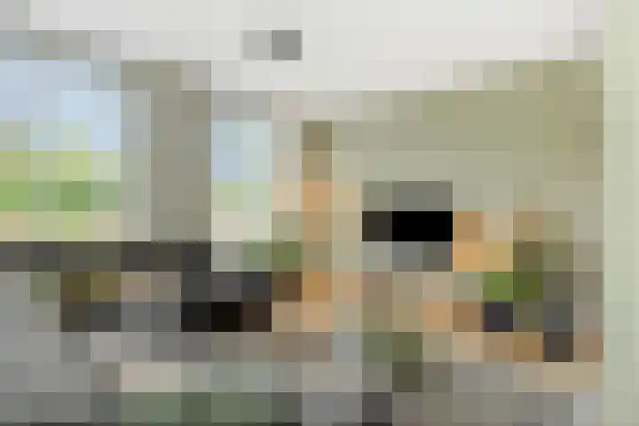 De Baken 58 's-Hertogenbosch thumbnail 5