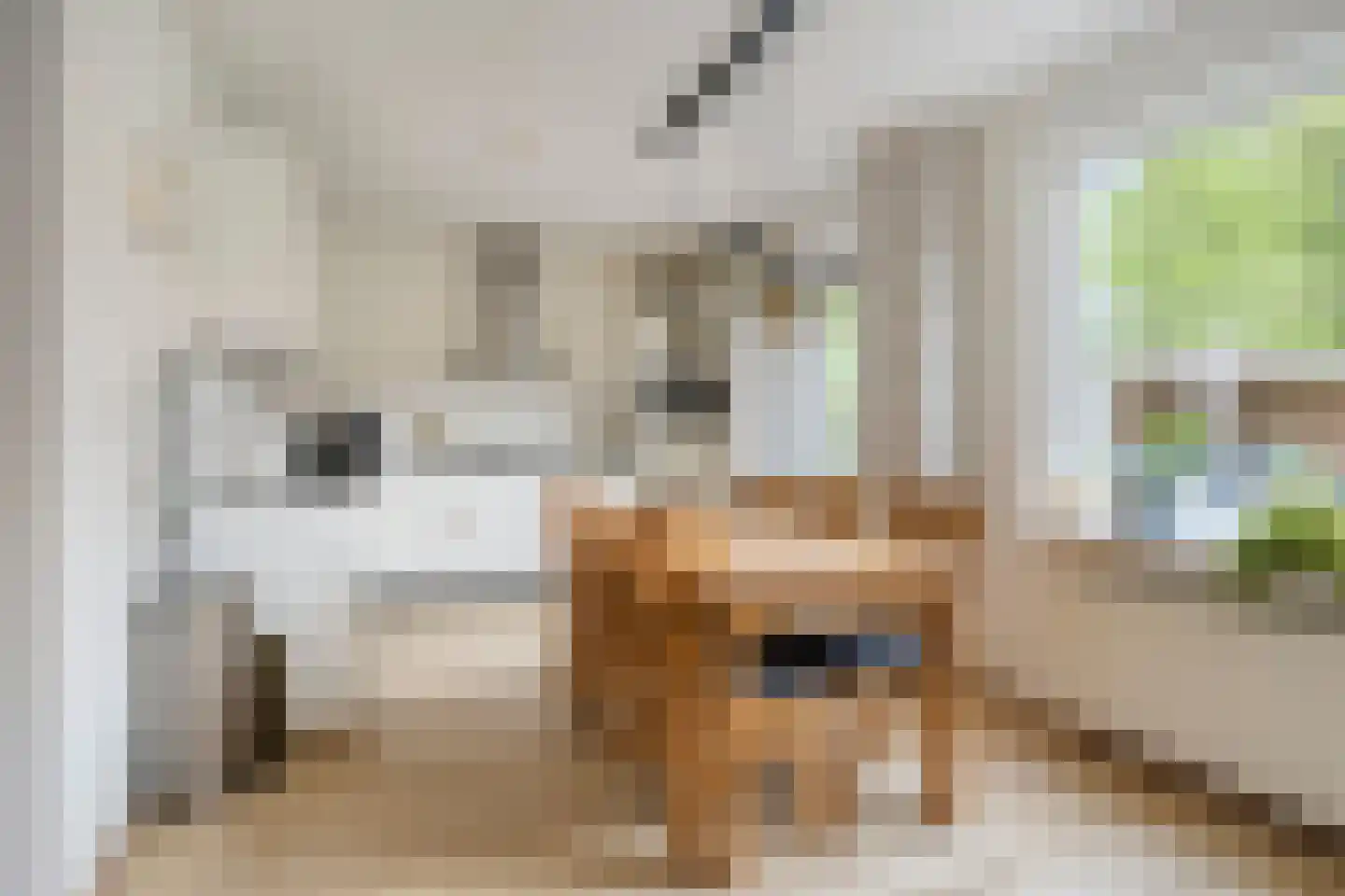 de Bakker 1 Nieuwehorne thumbnail 14