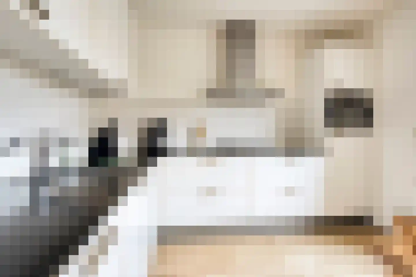 de Bakker 1 Nieuwehorne thumbnail 15