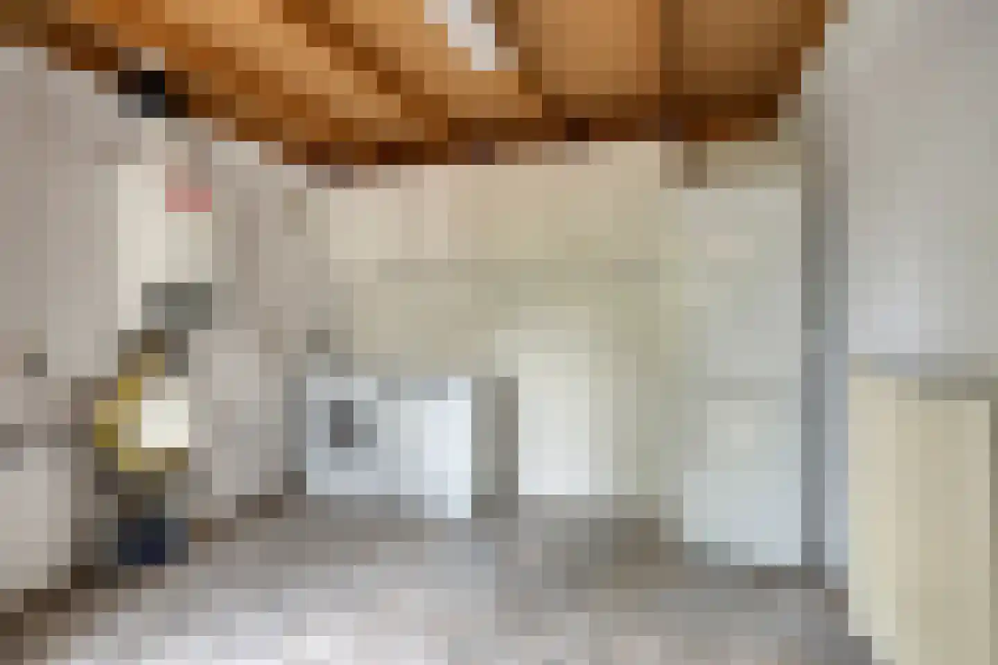 de Bakker 1 Nieuwehorne thumbnail 16