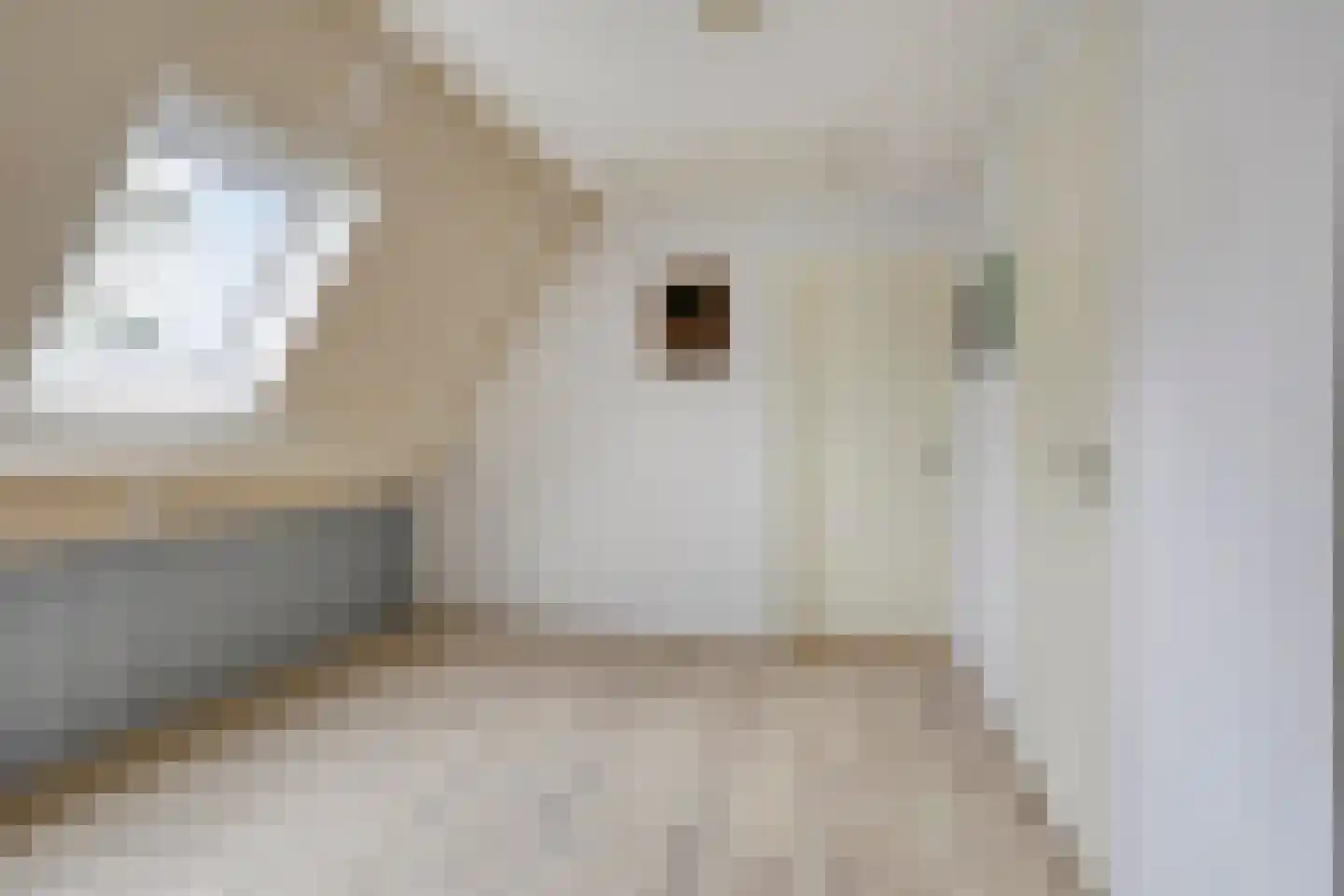 de Bakker 1 Nieuwehorne thumbnail 18