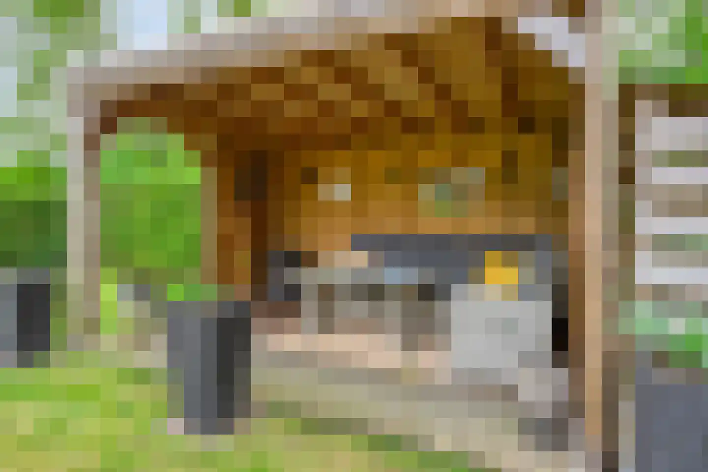 de Bakker 1 Nieuwehorne thumbnail 32