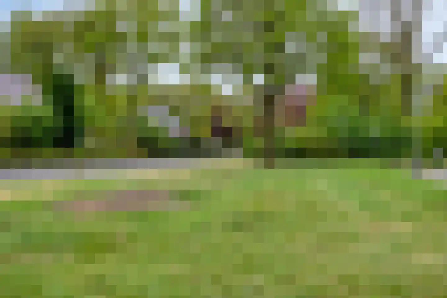 de Bakker 1 Nieuwehorne thumbnail 36