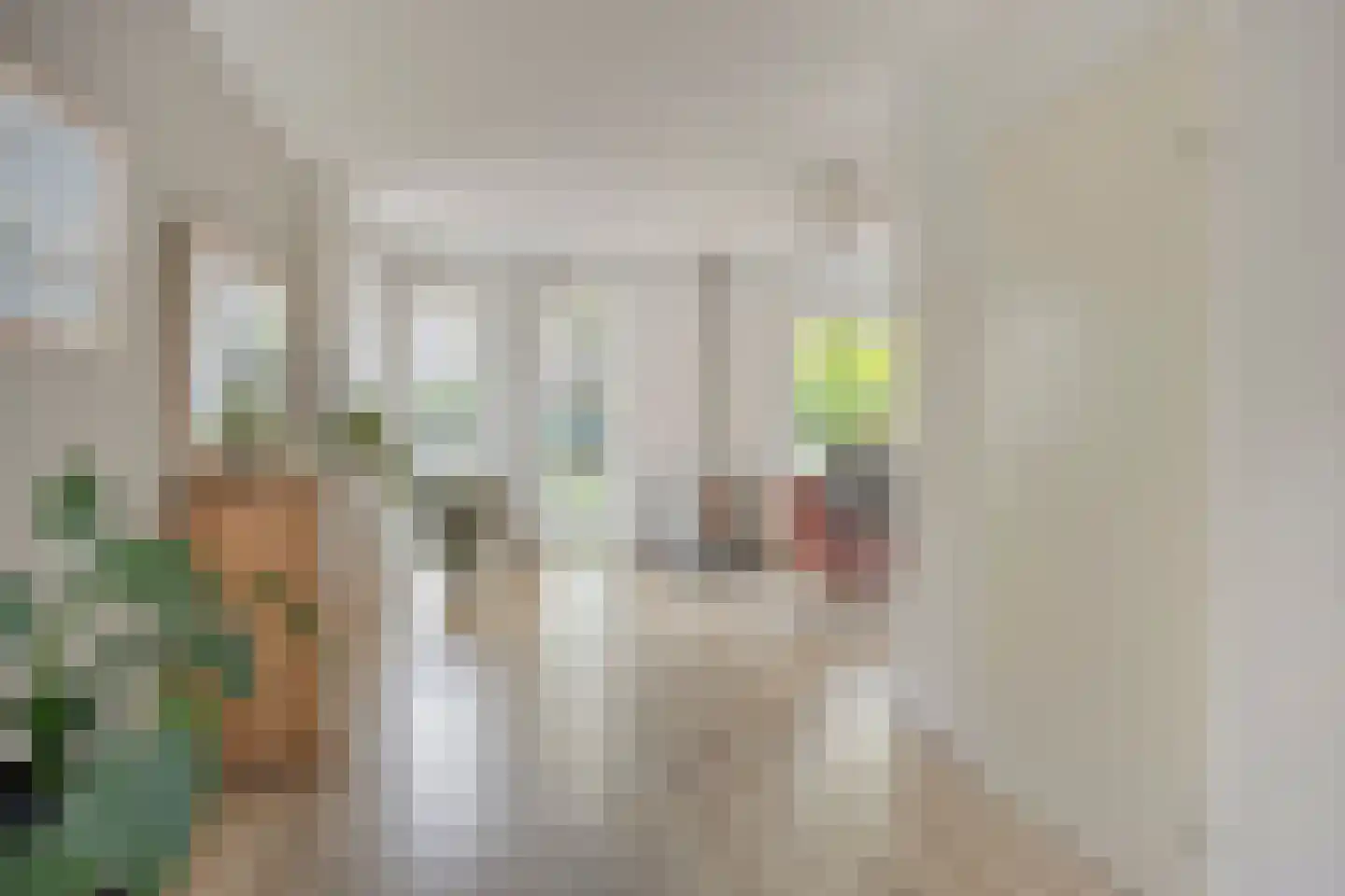 de Bakker 1 Nieuwehorne thumbnail 9