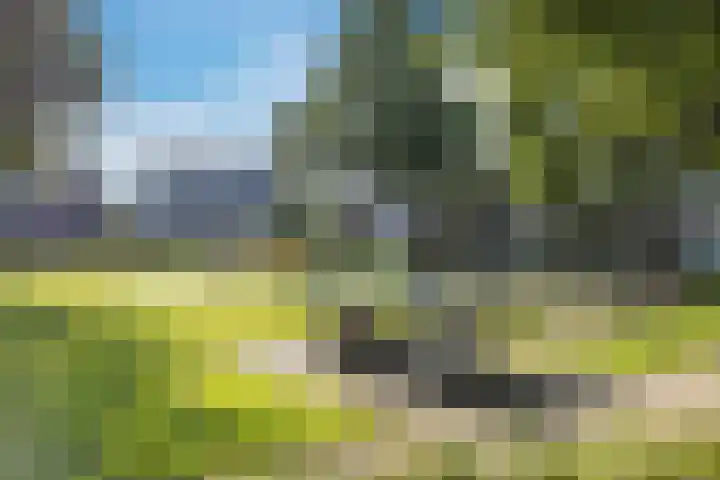 De Bakkerij 2 Wormer thumbnail 30