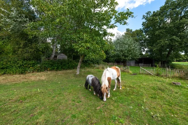 De Bakkerij 3 Boelenslaan thumbnail 72
