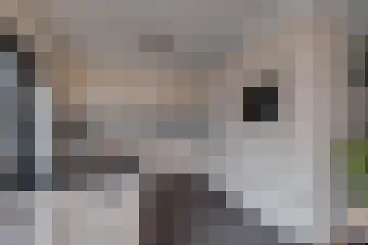 De Bakkerij 32 Laren thumbnail 15