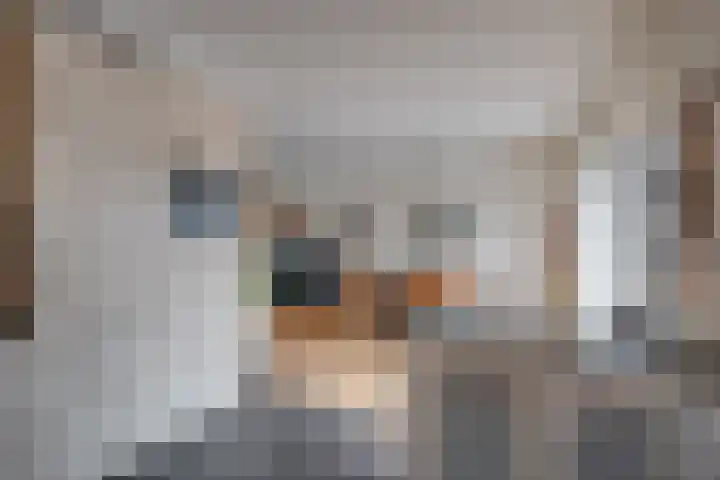 De Bakkerij 32 Laren thumbnail 19