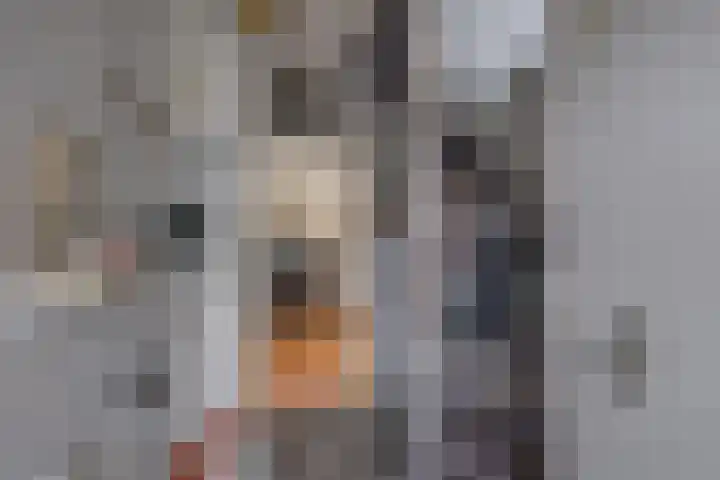 De Bakkerij 32 Laren thumbnail 24